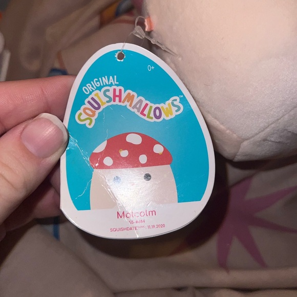 Squishmallows Toys The Mushroom Squishmallow Poshmark